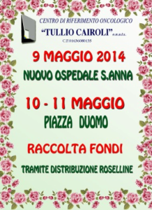Immagine roselline