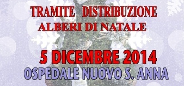 I nostri pinetti di Natale 2014