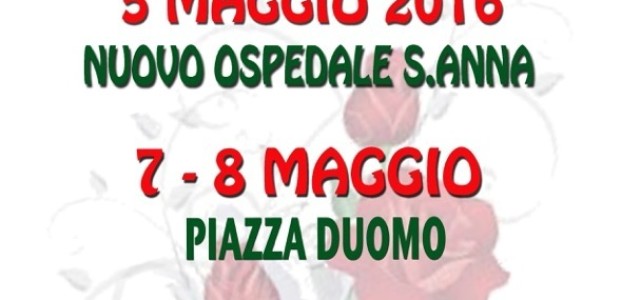 Roselline per la festa della mamma