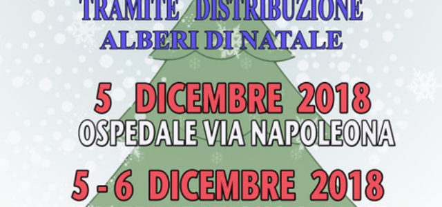Raccolta fondi: Alberelli di Natale