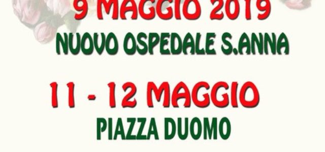 Tornano anche quest’anno le ROSELLINE!!