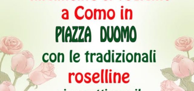 7 e 8 maggio: LE ROSELLINE!