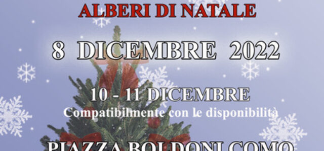 Tornano i pinetti di Natale!!