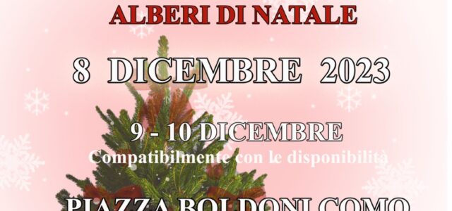 Ecco i pinetti di Natale!