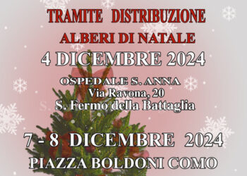 Ecco i pinetti di Natale!