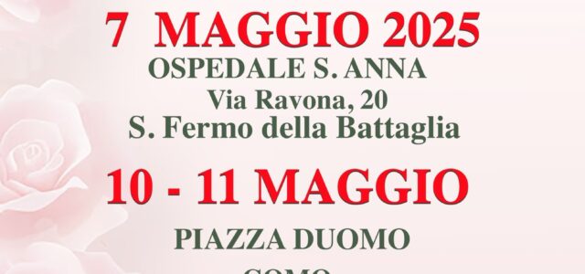 Ecco le roselline 2025!